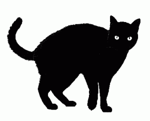 Черная кошка может быть не только дурным предзнаменованием
